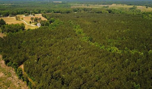 Photo #21 of Off of Moore's Ferry Road, Skippers, VA 145.0 acres