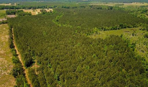 Photo #22 of Off of Moore's Ferry Road, Skippers, VA 145.0 acres