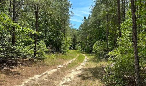 Photo #23 of Off of Moore's Ferry Road, Skippers, VA 145.0 acres