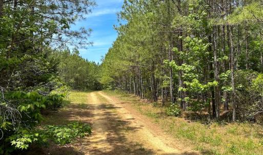 Photo #24 of Off of Moore's Ferry Road, Skippers, VA 145.0 acres