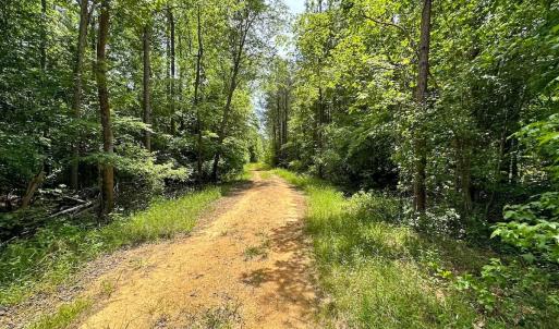 Photo #25 of Off of Moore's Ferry Road, Skippers, VA 145.0 acres