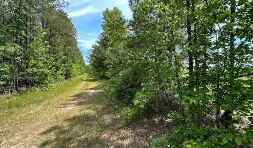 Photo #26 of Off of Moore's Ferry Road, Skippers, VA 145.0 acres