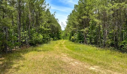 Photo #27 of Off of Moore's Ferry Road, Skippers, VA 145.0 acres
