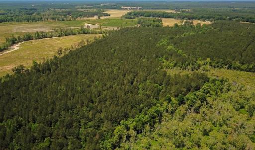 Photo #29 of Off of Moore's Ferry Road, Skippers, VA 145.0 acres