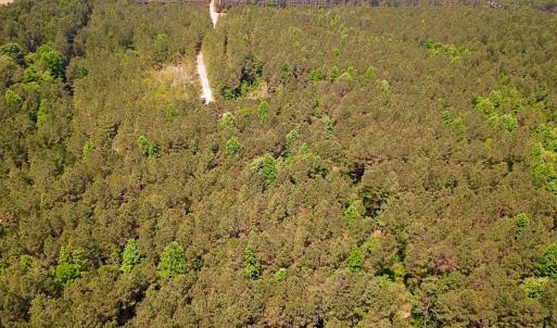 Photo #31 of Off of Moore's Ferry Road, Skippers, VA 145.0 acres