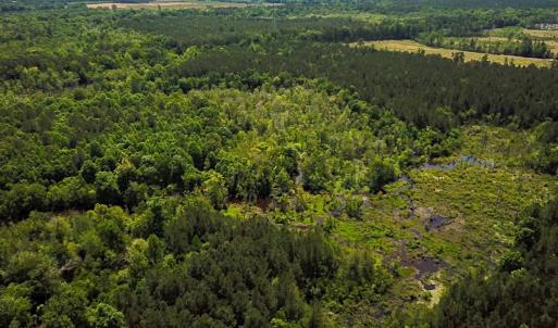 Photo #32 of Off of Moore's Ferry Road, Skippers, VA 145.0 acres