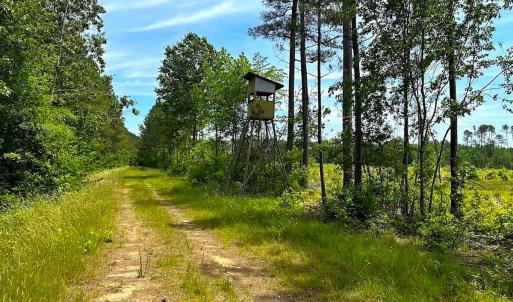 Photo #34 of Off of Moore's Ferry Road, Skippers, VA 145.0 acres