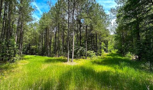 Photo #35 of Off of Moore's Ferry Road, Skippers, VA 145.0 acres