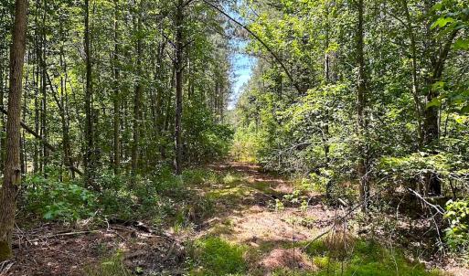 Photo #36 of Off of Moore's Ferry Road, Skippers, VA 145.0 acres