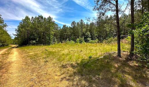 Photo #37 of Off of Moore's Ferry Road, Skippers, VA 145.0 acres