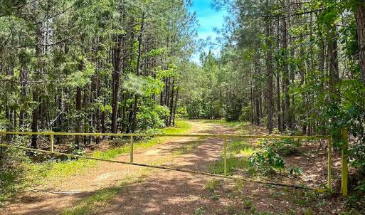 Photo #38 of Off of Moore's Ferry Road, Skippers, VA 145.0 acres