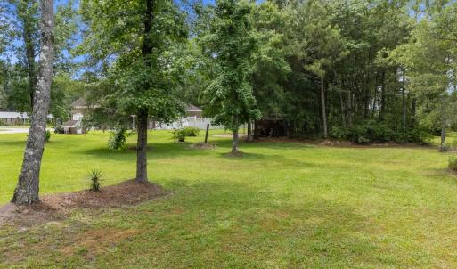 Photo #50 of 20470 Seven Creeks Hwy, Tabor City, NC 2.0 acres