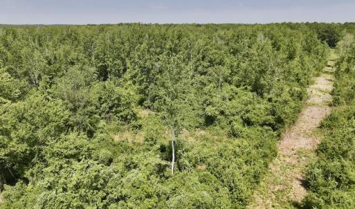 Photo #17 of Lot 20 Guinea Mill Rd, Ernul, NC 34.9 acres