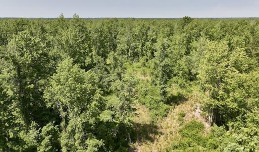 Photo #18 of Lot 20 Guinea Mill Rd, Ernul, NC 34.9 acres