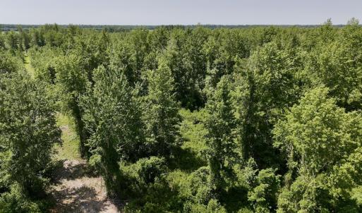 Photo #19 of Lot 20 Guinea Mill Rd, Ernul, NC 34.9 acres