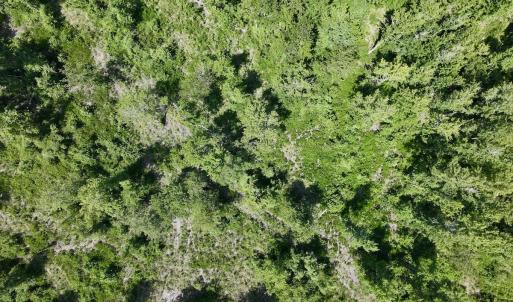 Photo #20 of Lot 20 Guinea Mill Rd, Ernul, NC 34.9 acres