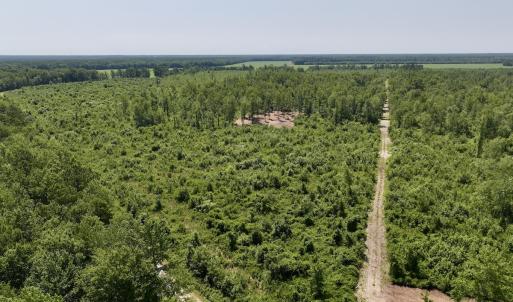 Photo #1 of Lot 20 Guinea Mill Rd, Ernul, NC 34.9 acres