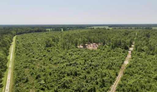Photo #2 of Lot 20 Guinea Mill Rd, Ernul, NC 34.9 acres