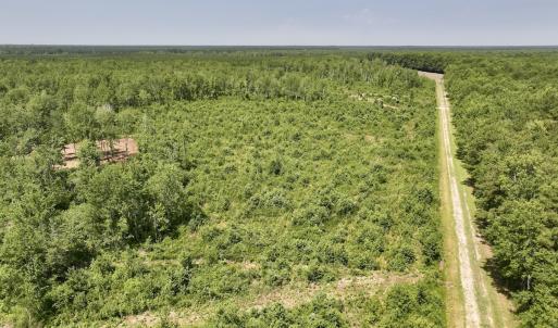 Photo #24 of Lot 20 Guinea Mill Rd, Ernul, NC 34.9 acres