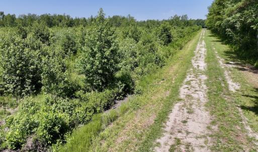 Photo #25 of Lot 20 Guinea Mill Rd, Ernul, NC 34.9 acres