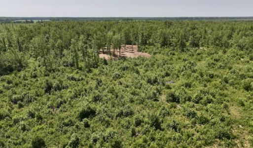 Photo #27 of Lot 20 Guinea Mill Rd, Ernul, NC 34.9 acres