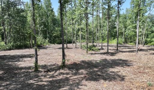 Photo #28 of Lot 20 Guinea Mill Rd, Ernul, NC 34.9 acres