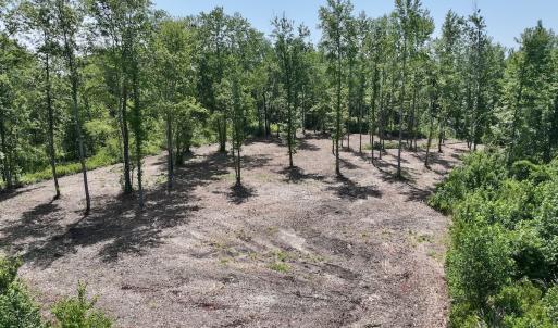 Photo #3 of Lot 20 Guinea Mill Rd, Ernul, NC 34.9 acres