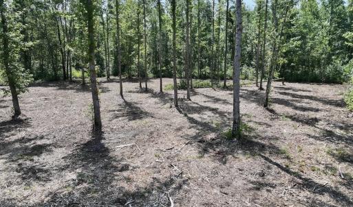 Photo #5 of Lot 20 Guinea Mill Rd, Ernul, NC 34.9 acres