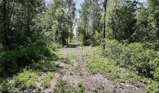 Photo #8 of Lot 20 Guinea Mill Rd, Ernul, NC 34.9 acres