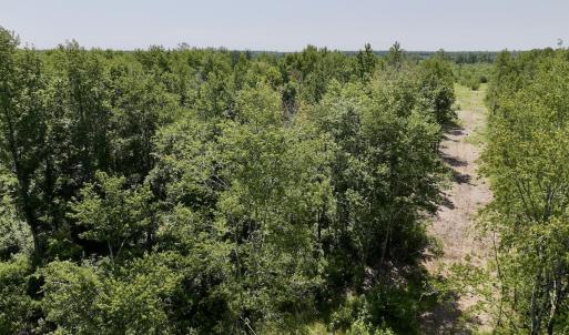 Photo #9 of Lot 20 Guinea Mill Rd, Ernul, NC 34.9 acres