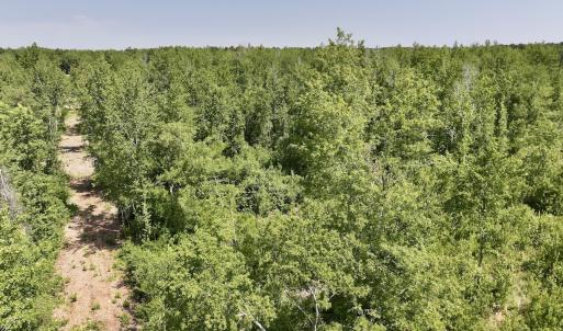 Photo #10 of Lot 20 Guinea Mill Rd, Ernul, NC 34.9 acres