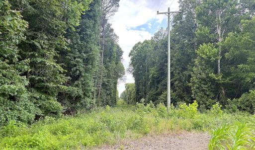 Photo #16 of Off Colonial Trail West, Spring Grove, VA 47.0 acres