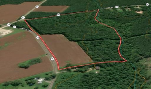 Photo #3 of Off Colonial Trail West, Spring Grove, VA 47.0 acres