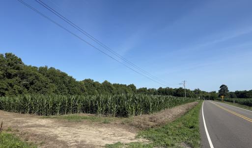 Photo #4 of Off Colonial Trail West, Spring Grove, VA 47.0 acres