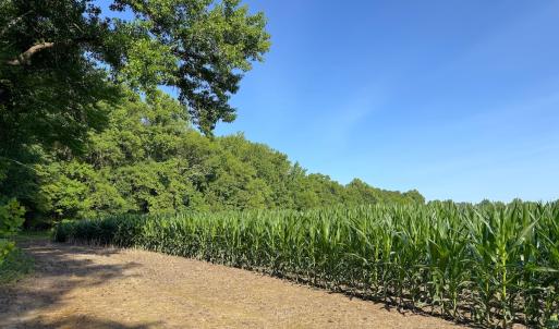 Photo #6 of Off Colonial Trail West, Spring Grove, VA 47.0 acres