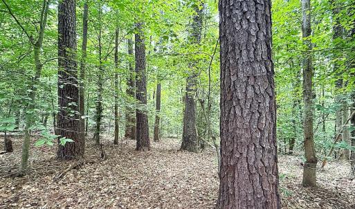 Photo #8 of Off Colonial Trail West, Spring Grove, VA 47.0 acres