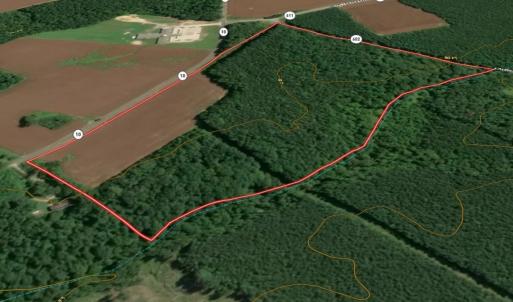 Photo #11 of Off Colonial Trail West, Spring Grove, VA 47.0 acres