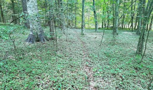 Photo #22 of Off Colonial Trail West, Spring Grove, VA 47.0 acres