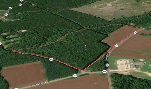 Photo #26 of Off Colonial Trail West, Spring Grove, VA 47.0 acres