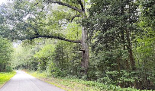 Photo #27 of Off Colonial Trail West, Spring Grove, VA 47.0 acres