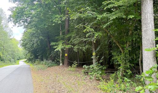 Photo #28 of Off Colonial Trail West, Spring Grove, VA 47.0 acres