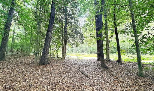 Photo #29 of Off Colonial Trail West, Spring Grove, VA 47.0 acres