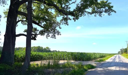 Photo #14 of 96 White Marsh Rd, Elberon, VA 96.3 acres