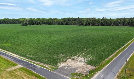 Photo #20 of 96 White Marsh Rd, Elberon, VA 96.3 acres