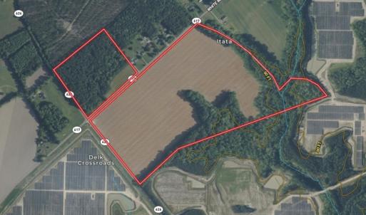 Photo #2 of 96 White Marsh Rd, Elberon, VA 96.3 acres