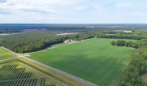 Photo #3 of 96 White Marsh Rd, Elberon, VA 96.3 acres
