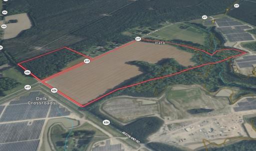 Photo #4 of 96 White Marsh Rd, Elberon, VA 96.3 acres