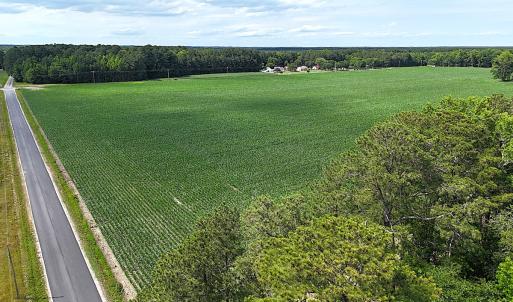 Photo #5 of 96 White Marsh Rd, Elberon, VA 96.3 acres