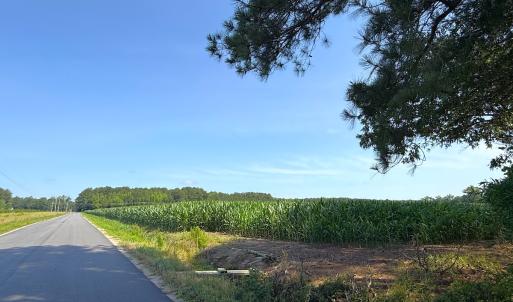 Photo #6 of 96 White Marsh Rd, Elberon, VA 96.3 acres