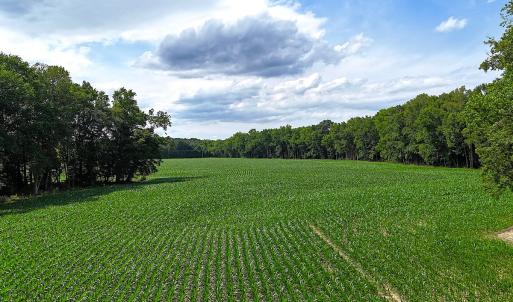 Photo #7 of 96 White Marsh Rd, Elberon, VA 96.3 acres